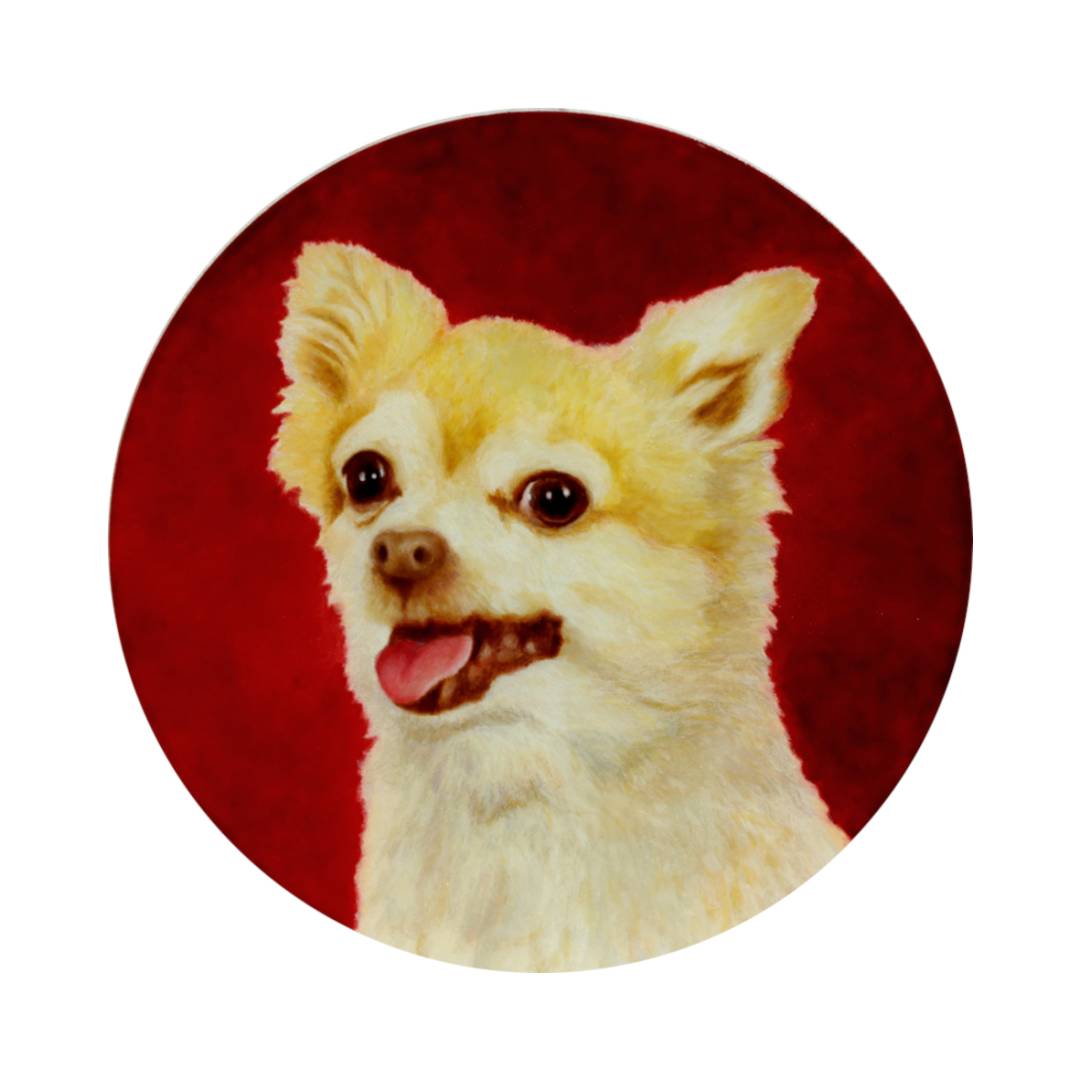 peinture miniature sur nacre, un petit chien blanc et jaune sur un fond rouge.