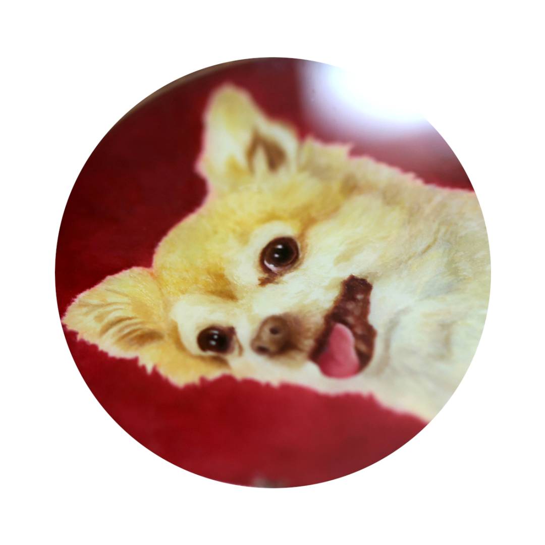 Un pendentif en or avec peinture miniature sur nacre, un petit chien sur un fond rouge monté sous un verre saphir.